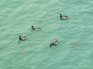 海を見ていた午後