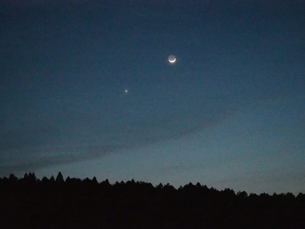 Crescent moon in a dark blue twilight sky above a silhouetted treeline.