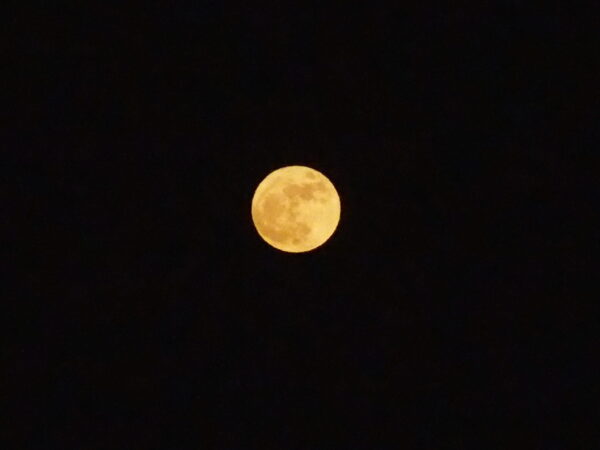 Full moon glowing yellow on a dark night sky, centered near the bottom of the image