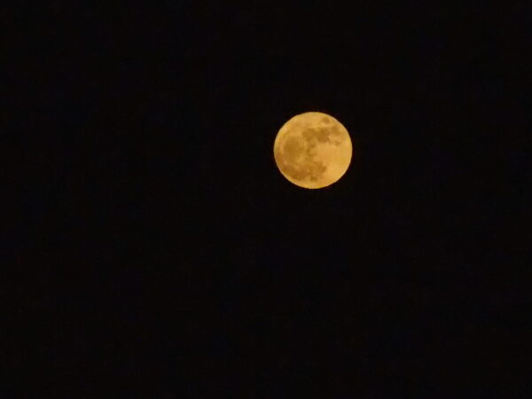 Orange full moon glowing against a dark, star-dotted night sky.