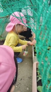 Child wearing a pink hat crouches by a garden bed, holding a small jar as an adult assists nearby through green netting.