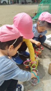 Three children in pink hats crouch by small clear cups with colorful handles, placing berries into each cup outdoors.
