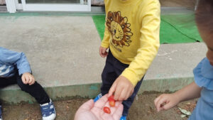 Adult hands out small red snacks to a child wearing a yellow lion shirt, with other child nearby outdoors.