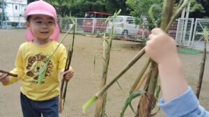 Child wearing a yellow lion shirt and pink hat smiles while holding long bamboo stalks outdoors near a fence.