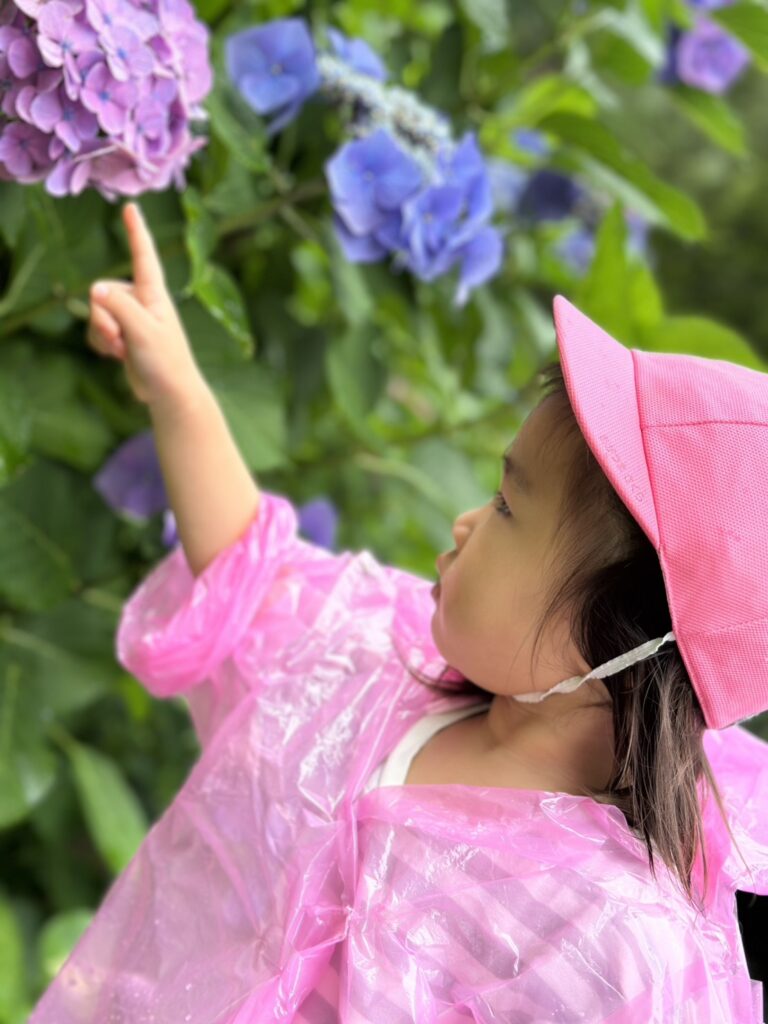 マリンパルだより 7月その5