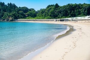 当館周辺のおすすめ海水浴場をご紹介!!