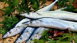 秋の味覚といえば…さんま🐟