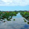 Tome City : Izunuma Lake, Uchinuma Lake